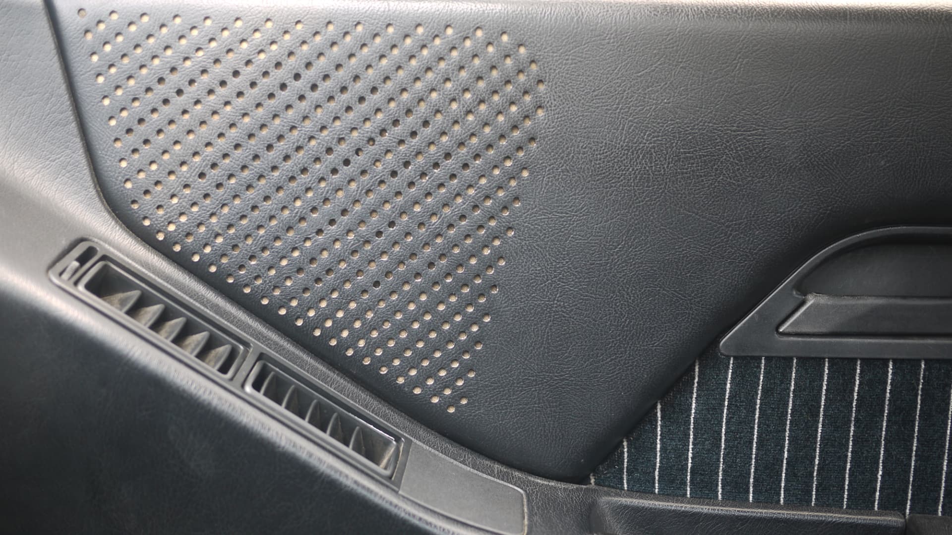 Pinstripe fabric door panel and air vent